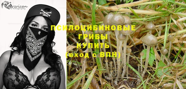 метамфетамин Козельск